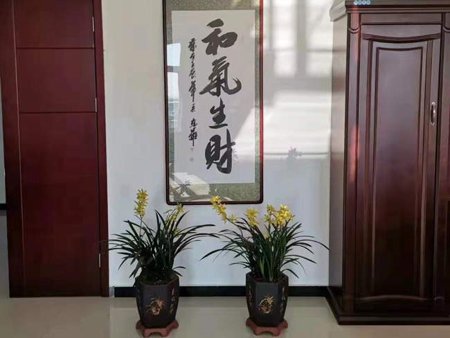 公司风采